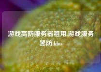 游戏高防服务器租用,游戏服务器防ddos