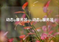 动态ip服务器vps,动态ip服务器
