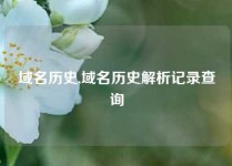 域名历史,域名历史解析记录查询