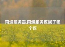 南通服务器,南通服务区属于哪个区