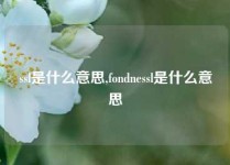 ssl是什么意思,fondnessl是什么意思