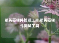 服务器硬件检测工具,服务器硬件测试工具