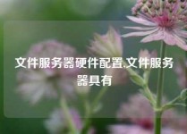 文件服务器硬件配置,文件服务器具有