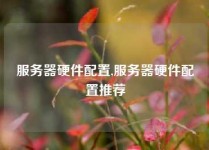 服务器硬件配置,服务器硬件配置推荐