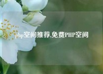 php空间推荐,免费PHP空间