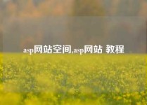 asp网站空间,asp网站 教程