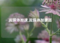 流媒体加速,流媒体加速器