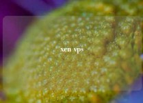 xen vps
