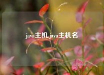 java主机,java主机名