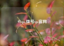 91vps,拨号vps官网