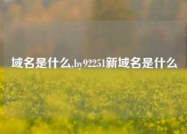 域名是什么,by92251新域名是什么