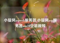 小旋风aspweb服务器,小旋风asp服务器win10安装视频
