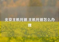北京主机托管,主机托管怎么办理