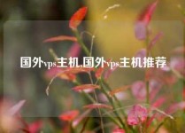 国外vps主机,国外vps主机推荐