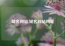 域名网站,域名网站网址
