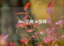 500m空间,50t空间