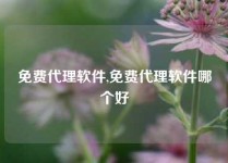 免费代理软件,免费代理软件哪个好