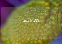 oray ICANN
