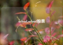 ucloud,ucloud股票