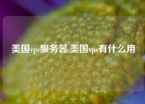 美国vps服务器,美国vps有什么用