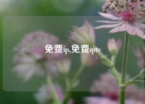 免费ip,免费iptv