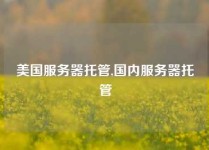 美国服务器托管,国内服务器托管