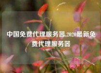 中国免费代理服务器,2020最新免费代理服务器
