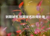 到期域名,到期域名如何处理
