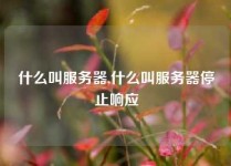 什么叫服务器,什么叫服务器停止响应