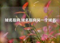 域名指向,域名指向另一个域名