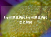 http403禁止访问,http403禁止访问怎么解决