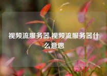 视频流服务器,视频流服务器什么意思