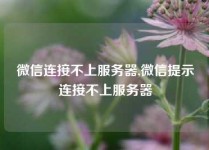 微信连接不上服务器,微信提示连接不上服务器