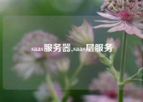 saas服务器,saas层服务