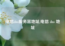 电信dns服务器地址,电信 dns 地址