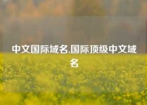 中文国际域名,国际顶级中文域名