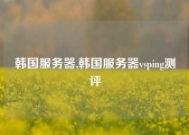韩国服务器,韩国服务器vsping测评