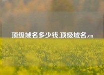 顶级域名多少钱,顶级域名.cn