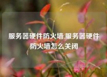 服务器硬件防火墙,服务器硬件防火墙怎么关闭