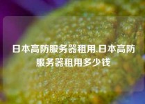 日本高防服务器租用,日本高防服务器租用多少钱