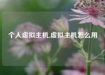 个人虚拟主机,虚拟主机怎么用