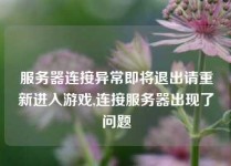 服务器连接异常即将退出请重新进入游戏,连接服务器出现了问题