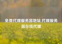 免费代理服务器地址,代理服务器在线代理