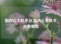 国内云主机平台,国内云主机平台有哪些