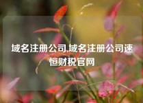 域名注册公司,域名注册公司速恒财税官网