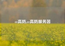 cc高防,cc高防服务器