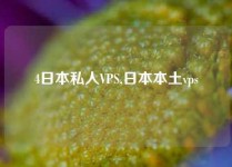 4日本私人VPS,日本本土vps