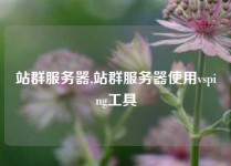 站群服务器,站群服务器使用vsping工具