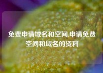 免费申请域名和空间,申请免费空间和域名的资料