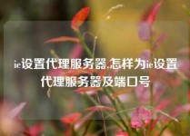 ie设置代理服务器,怎样为ie设置代理服务器及端口号